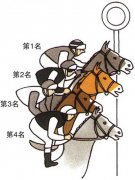 世界邏輯思維圖形:照片定輸贏